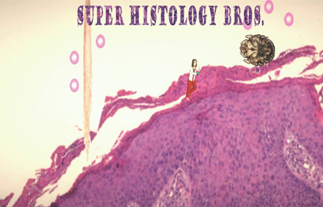 Super Histology Bros!
